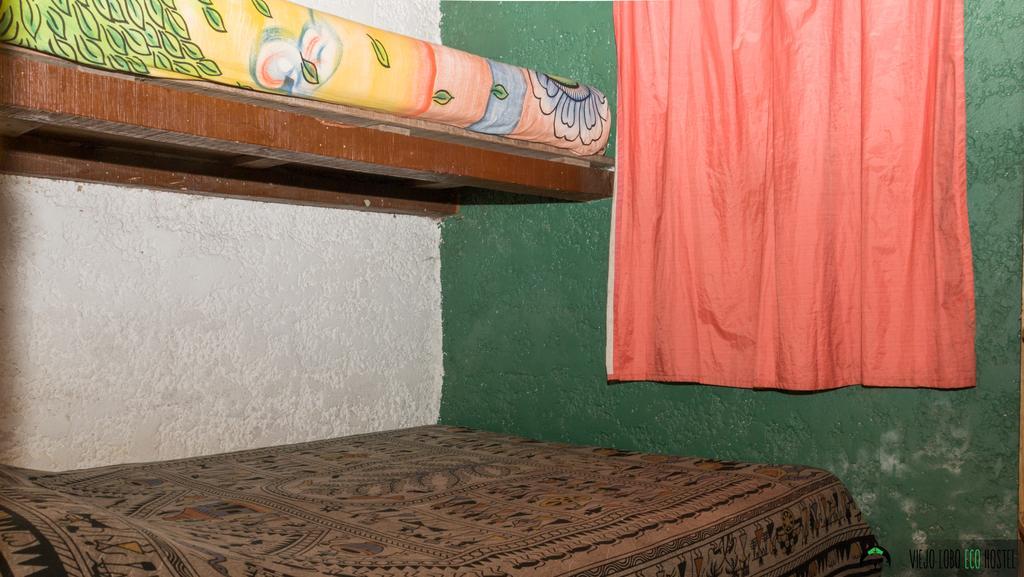 Viejo Lobo Vandrarhem Cabo Polonio Rum bild