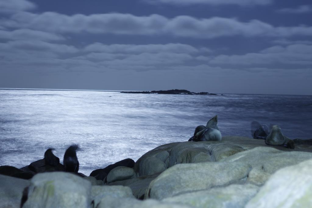 Viejo Lobo Vandrarhem Cabo Polonio Exteriör bild
